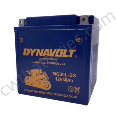12V 30Ah Recreational Vehicle Batteries 125CC Four Wheeler Battery DYNAVOLT MG30L-BS-C