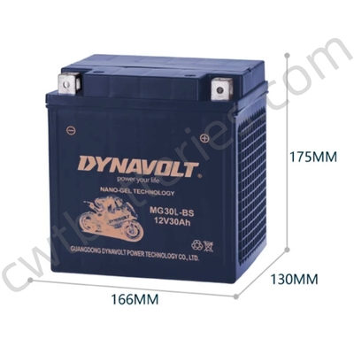 12V 30Ah Recreational Vehicle Batteries 125CC Four Wheeler Battery DYNAVOLT MG30L-BS-C