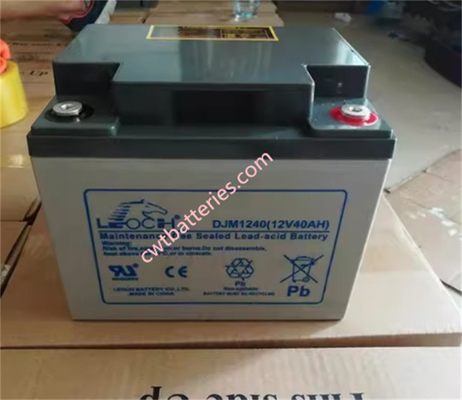 Customized 12V 24AH Batterie Agm VRLA DJM12-24 LEOCH Agm Battery