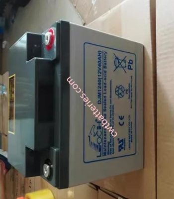 Customized 12V 24AH Batterie Agm VRLA DJM12-24 LEOCH Agm Battery