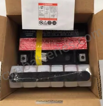 Yuasa YTX12-BS AGM Motorcycle Battery 12V 10Ah 10HR CCA:180 for ATVs