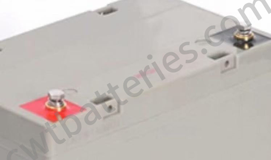 Energy Storage NPG Solar Batteries Cell 12V 55Ah For UPS Off Grid Systems