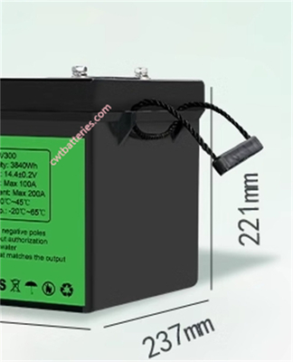 Custom 12.8V 200AH Rechargeable RV Batteries For Motorhome House Solar Power System