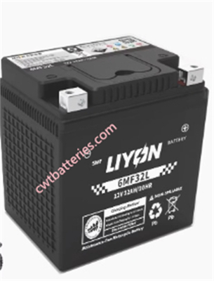 Liyon 6MF32L 12V 32Ah Atv Battery AGM Gel Battery New Original